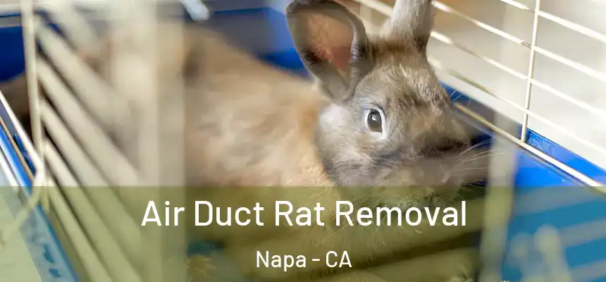  Air Duct Rat Removal Napa - CA