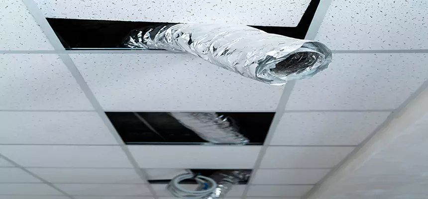 Affordable HVAC Sanitizing After Pest Removal in Napa