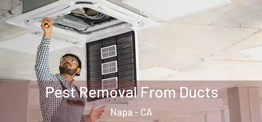 Pest Removal From Ducts Napa - CA