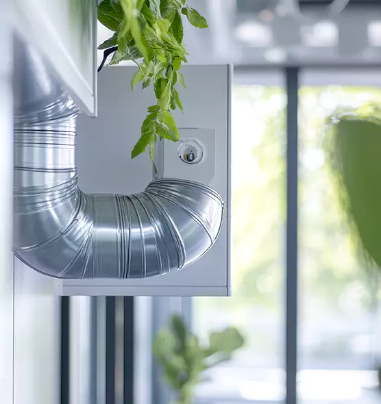 Professional Eco-Safe Dryer Vent Cleaning in Napa, CA