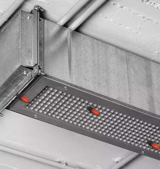 Affordable Insect Removal from Air Ducts in Napa, CA