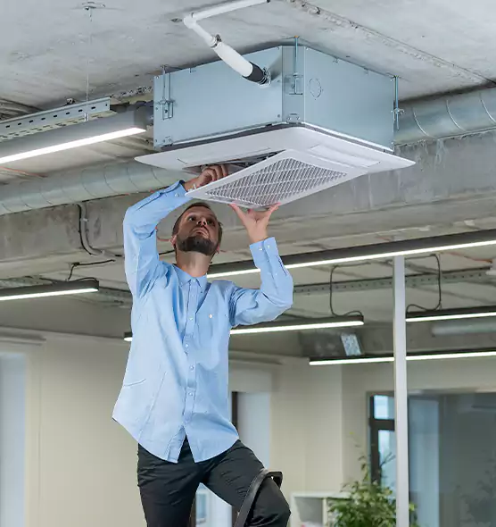 Advanced Rodent Droppings In Vents in Napa, CA