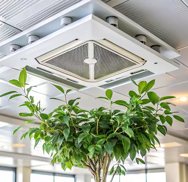 Why Homeowners & Businesses Trust Us in Napa, CA